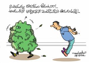 Roaming with Oxygen